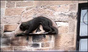 Sandstone Cat Photo: Cat on Wall