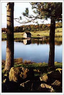 Country Walk