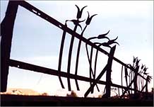 Interesting Fence two