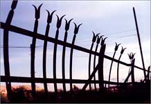 Interesting fence