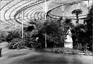 Inside the Kibble Palace