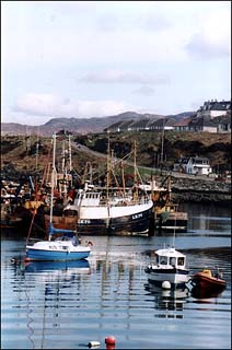 Mallaig harbour Photo: Mallaig harbour