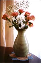 Roses in vase