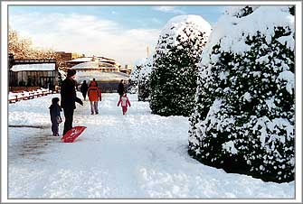 Snow in the Botanics