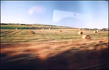 View from London train.
