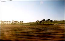 View from London train.