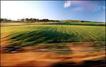 View from London train.