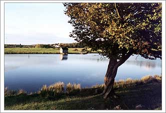 Tree, Water, Hut