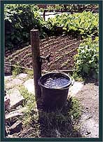 Collecting Water for the Allotment