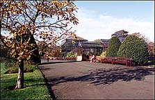Main Glasshouses