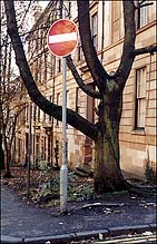 Street Sign: Stop