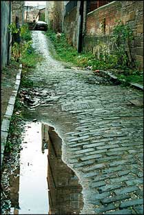 Photo: Back lane.