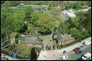 Photo: Botanics from tower.