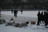 Photo: snow at bingham's pond.