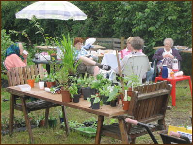 Photo: allotment open day.