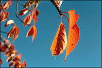 Photo: Autumn 2004.