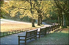 Photo: Botanic Gardens Autumn.