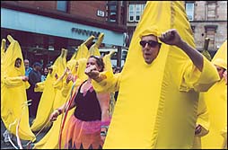 Photo: Bannana troop.