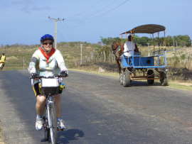 Photo: basia and carriage.