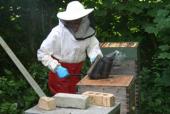 Photo: beekeeper.