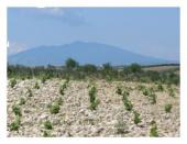 Photo: basilicata.