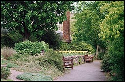 Photo: Botanics.