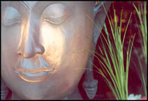 Photo: Galletly and Tubbs Budha.