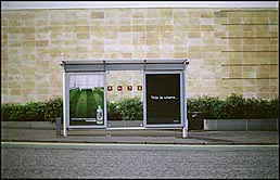 Photo: University Avenue bus shelter.