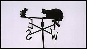 Photo: Cat n Mouse.