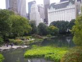 Photo: central park.
