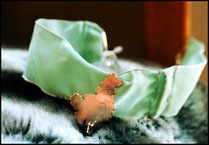 Photo: Choker.
