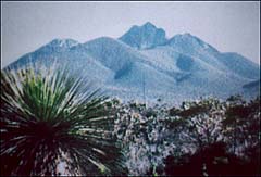 Photo: Mystery photograph.