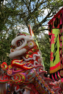 Photo: dragon.