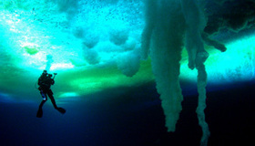 Photo: Encounters at the end of the world.