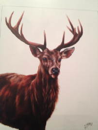 Photo: prints georgina mcmaster.