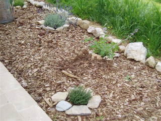 Photo: herb garden.