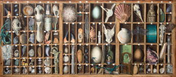 Photo: inside my drawers fran hanley.