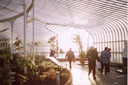 Inside Kibble Palace after refurbishment. Photo: Inside Kibble Palace.