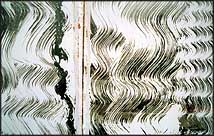 Photo: Kibble Palace glass with white paint.