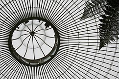 Kibble Palace roof design. Photo: Kibble Palace roof design.