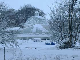 Photo: Kibble palace in the snow.