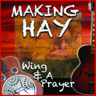 Photo: Making Hay CD Launch.