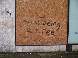 Miss being a tree graffiti. Photo: Miss being a tree graffiti.