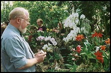 Photo: Orchid Fair.