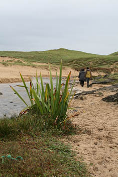 Out for walk in Colonsay. Photo: Out for walk in Colonsay.