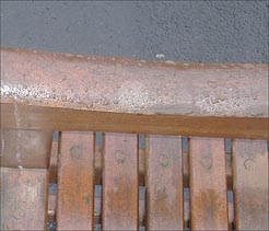 Photo: Botanic Gardens bench.