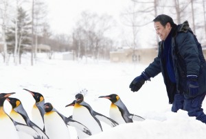 Photo: penguins in the sky.
