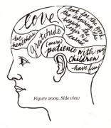 Photo: phrenology.