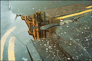 Photo: Puddle.