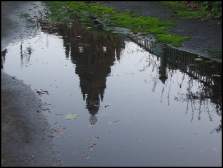 Photo: Puddle quiz.
